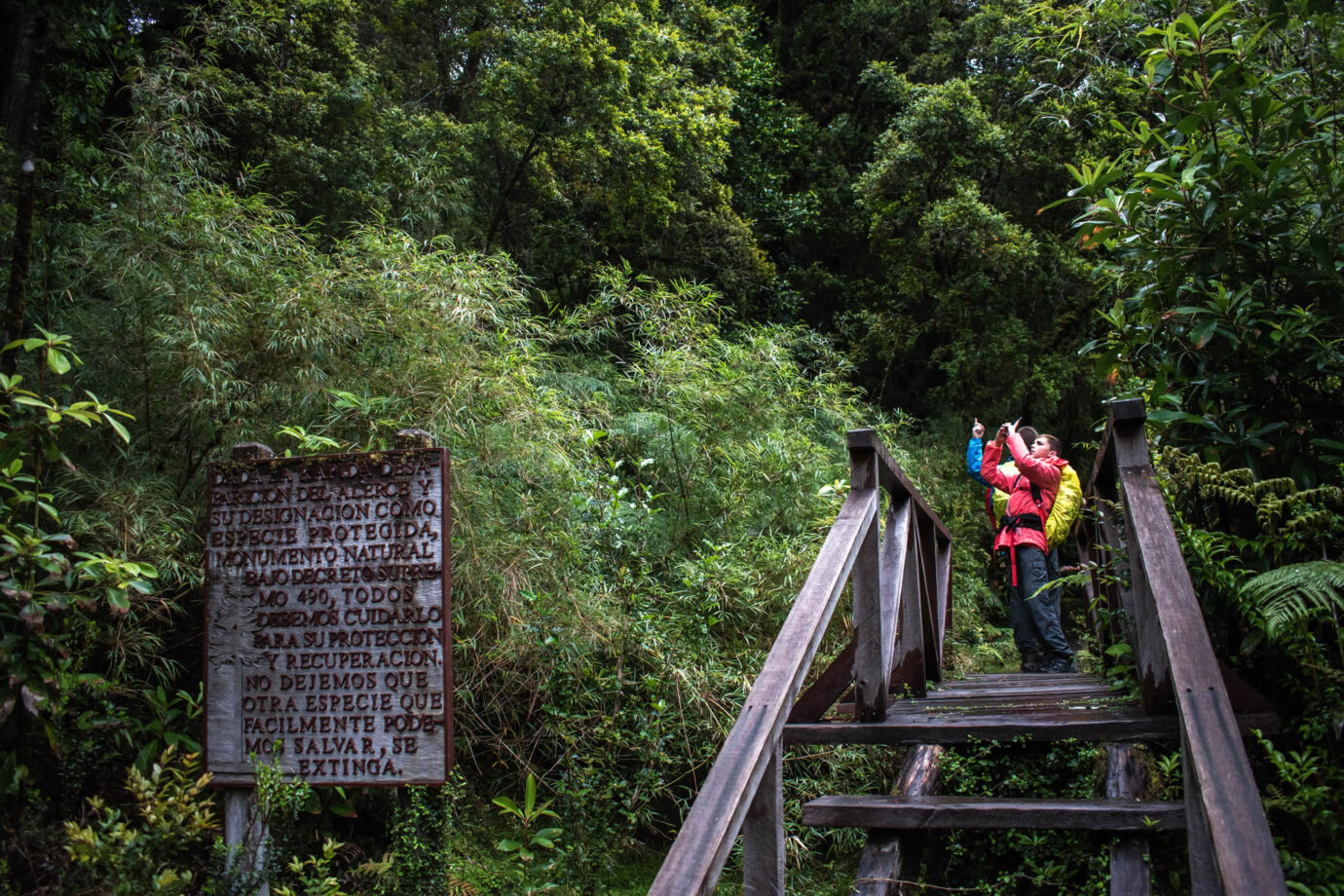 Parque Nacional Pumalín Douglas Tompkins