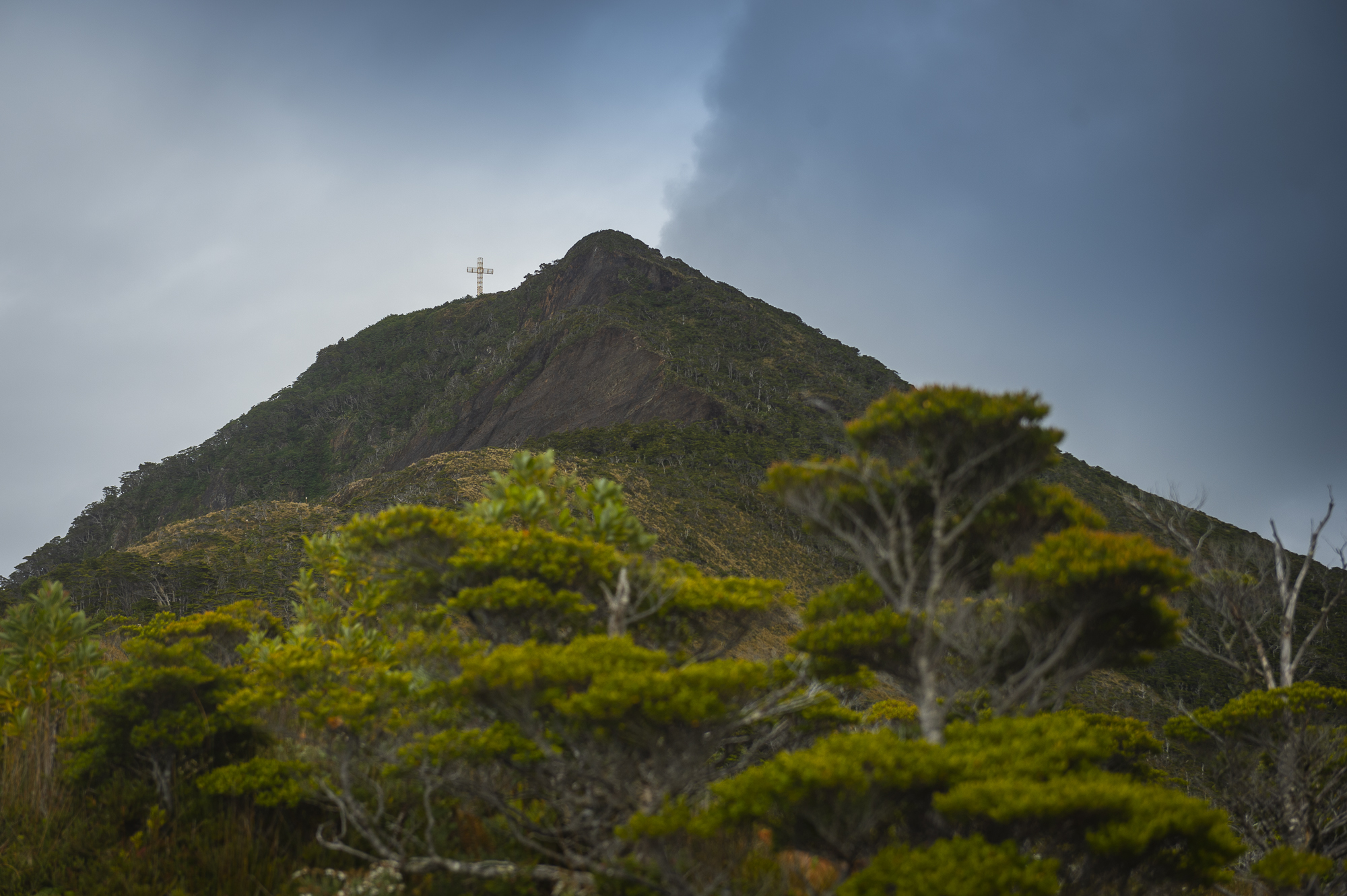 Cape Froward National Park Project Fundación Rewilding Chile