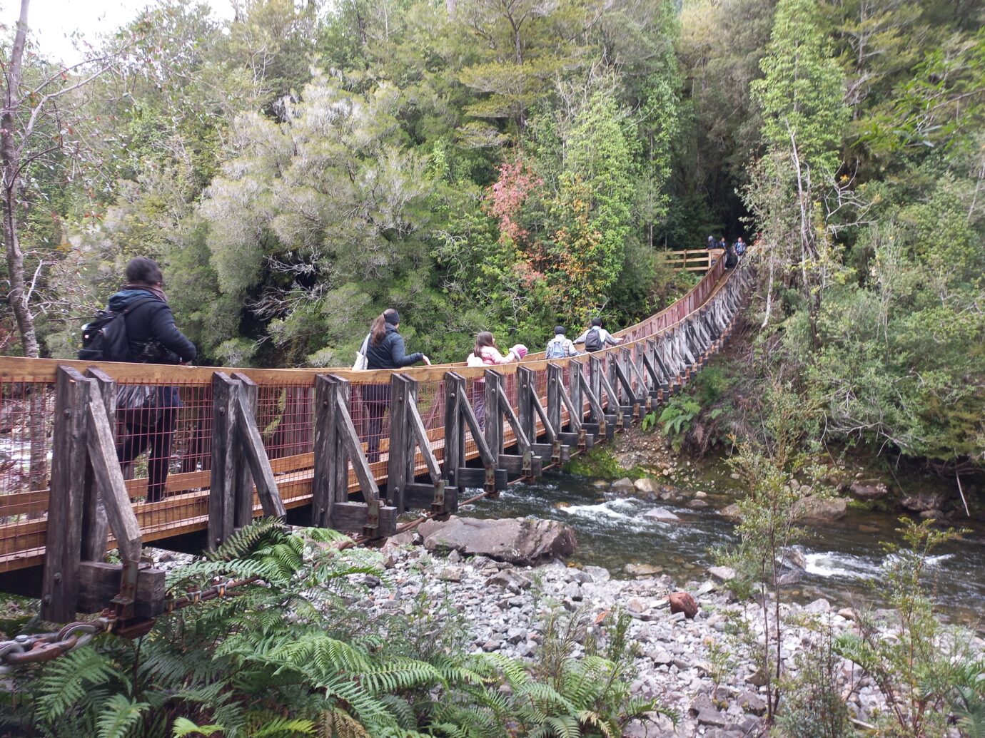 la-ruta-de-los-parquesdefensores-del-parque-nacional-alerce-andino