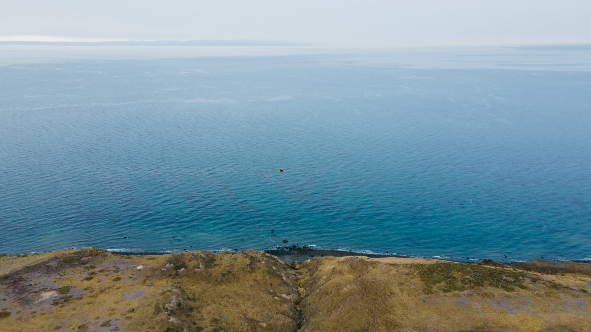 Expedition to Bahía Inútil: discovering its unknown ecological value ...