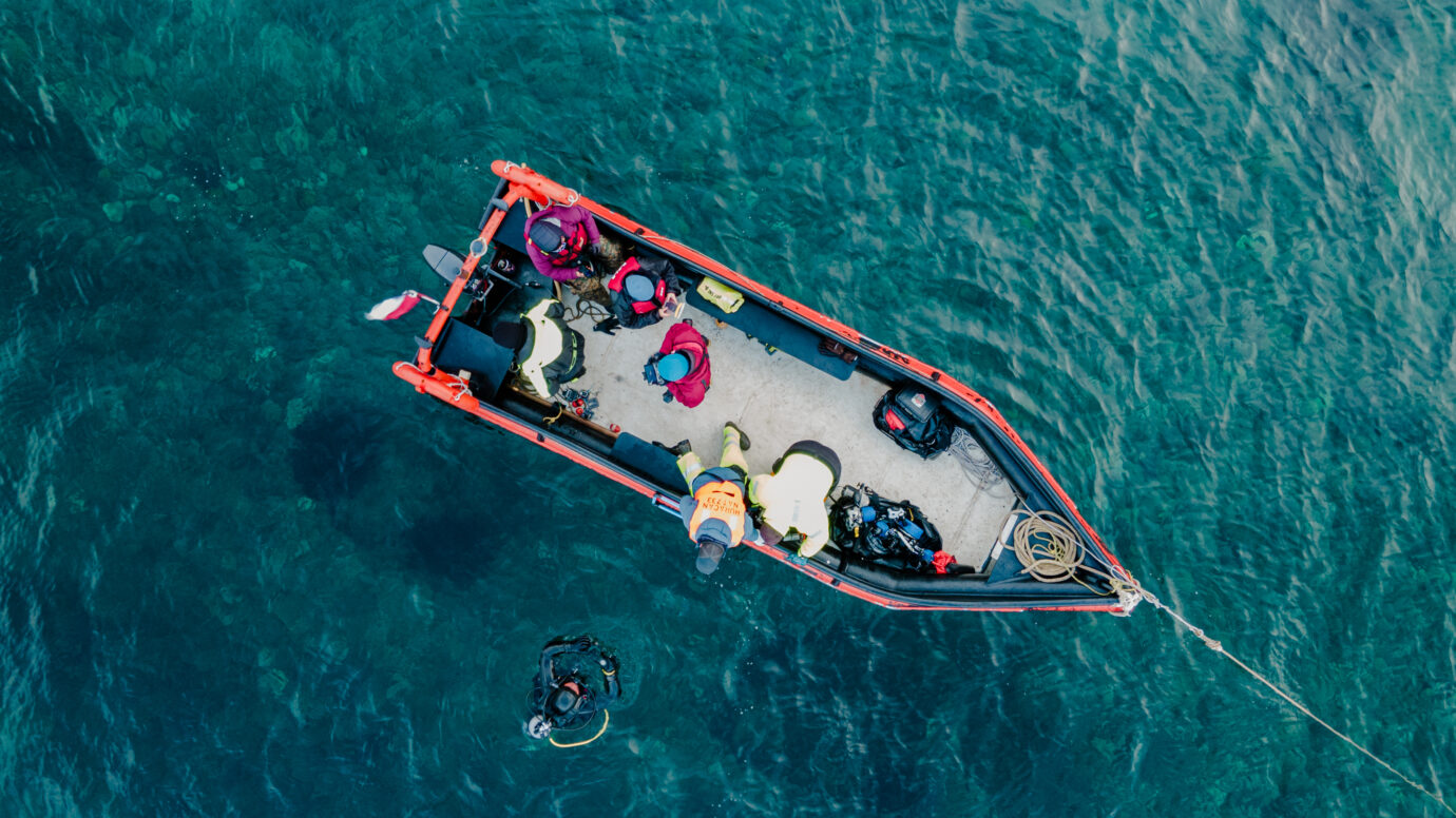 Expedición a Bahía Inútil: descubriendo su desconocido valor ecológico ...