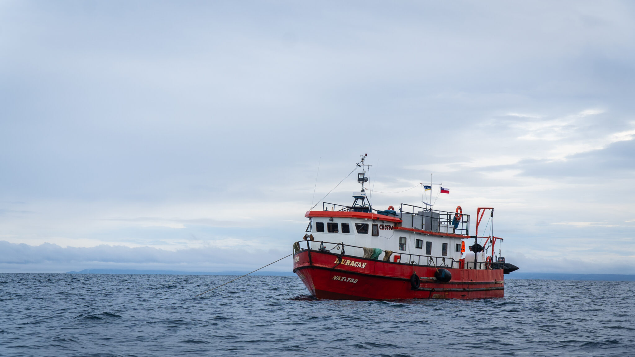 Expedición a Bahía Inútil: descubriendo su desconocido valor ecológico ...
